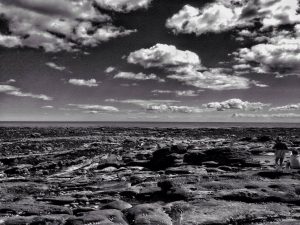 Seascape #5