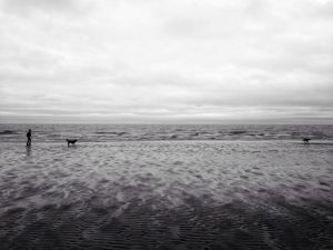 Seascape #2