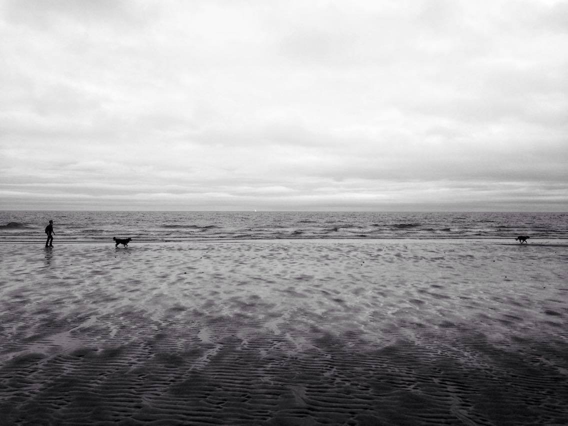 Seascape #2