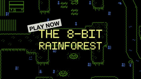 The 8-Bit Rainforest